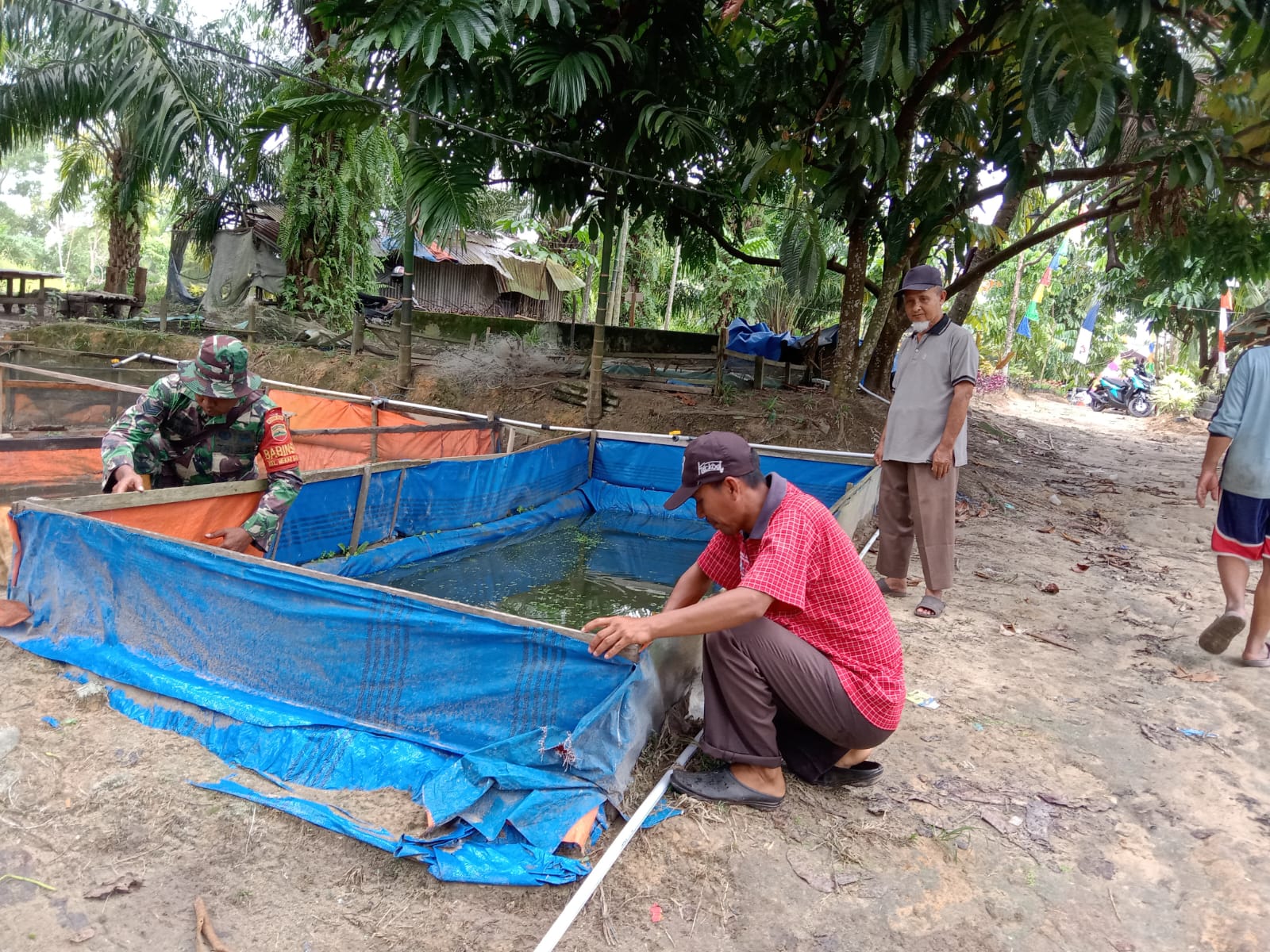 Serka Suandi Dampingi Peternak Ikan Patin