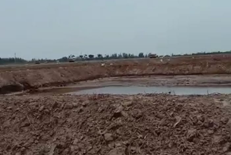 Hutan Bakau di Rupat Dirambah jadi Tambak