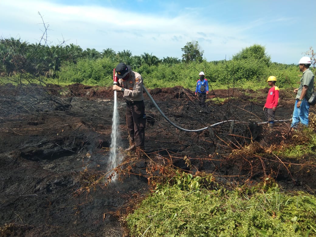 Karhutla di Pelalawan Berhasil Dipadamkan