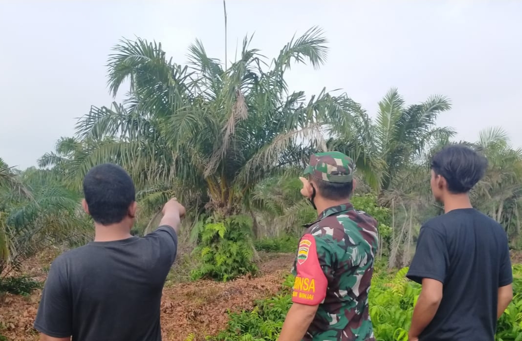 Masuki Musim Kemarau, Sertu Arjuna Endar Melaksanakan Patroli Hutan dan Lahan