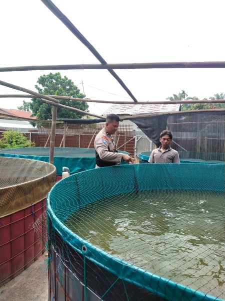 Bhabinkamtibmas Kelurahan Purnama Cek Budidaya Lele Warga, Perkuat Ketahanan Pangan Nasional
