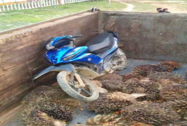 Laka Lantas di Rohul Tewaskan Bocah 8 Tahun