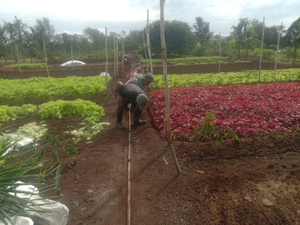 Serda Priyo Sudarmo Dampingi Petani