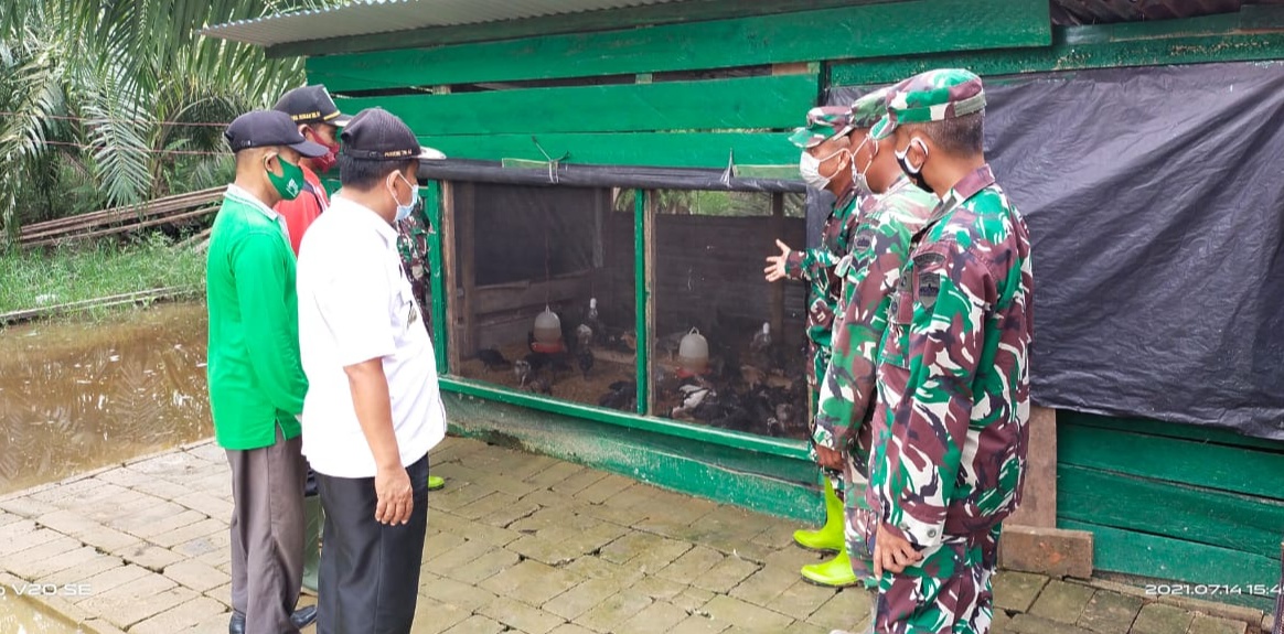 Demplot Budidaya dan Pertanian Guna Meningkatkan Ketahanan Pangan Nasional
