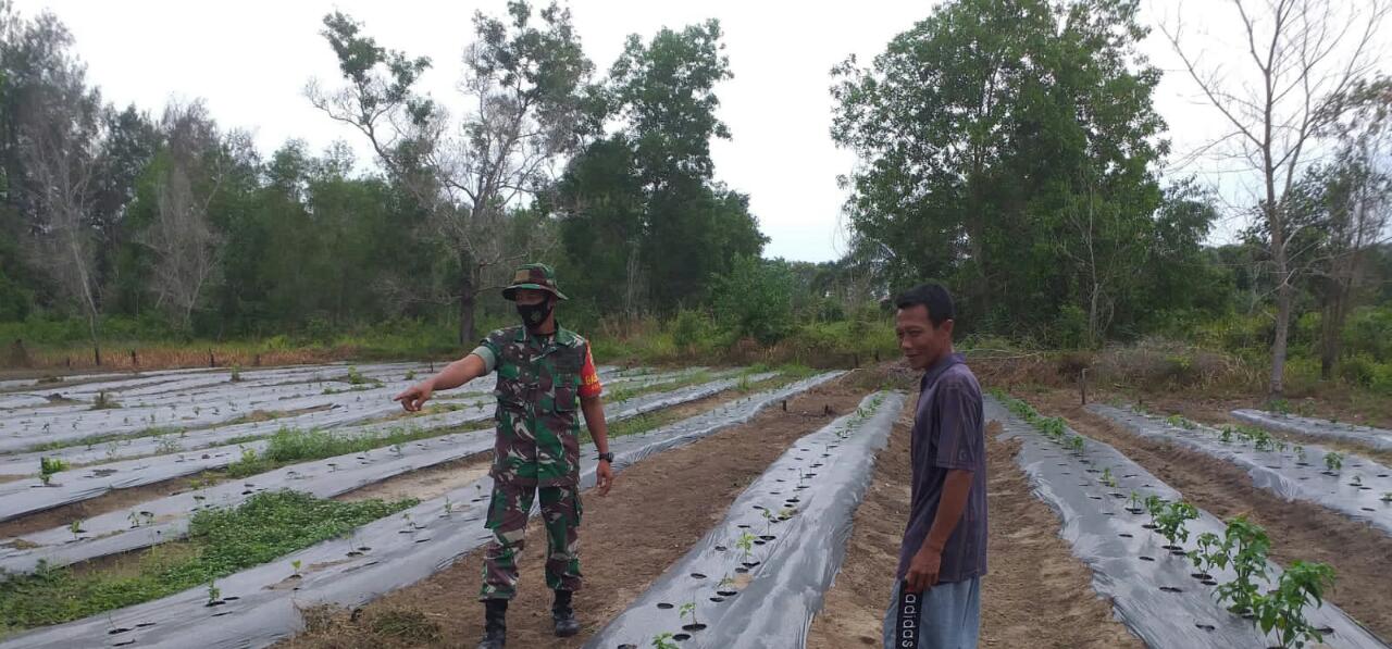 Babinsa Kelurahan STDI Lakukan Pendampingan Karya
