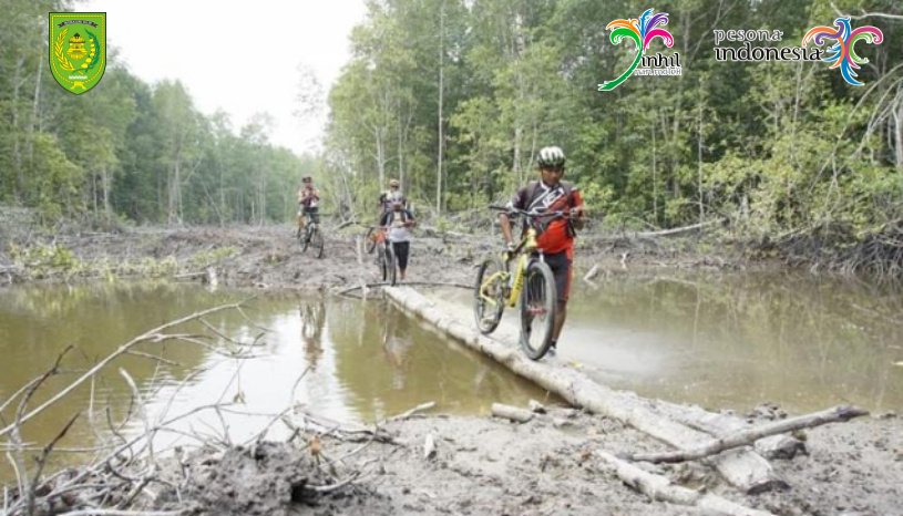 Menariknya Rawa Gambut di Pulau Cawan Inhil