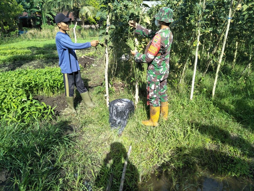 Serda Boby Rahman Harap Petani Jangan Buka Lahan Dengan Cara Dibakar
