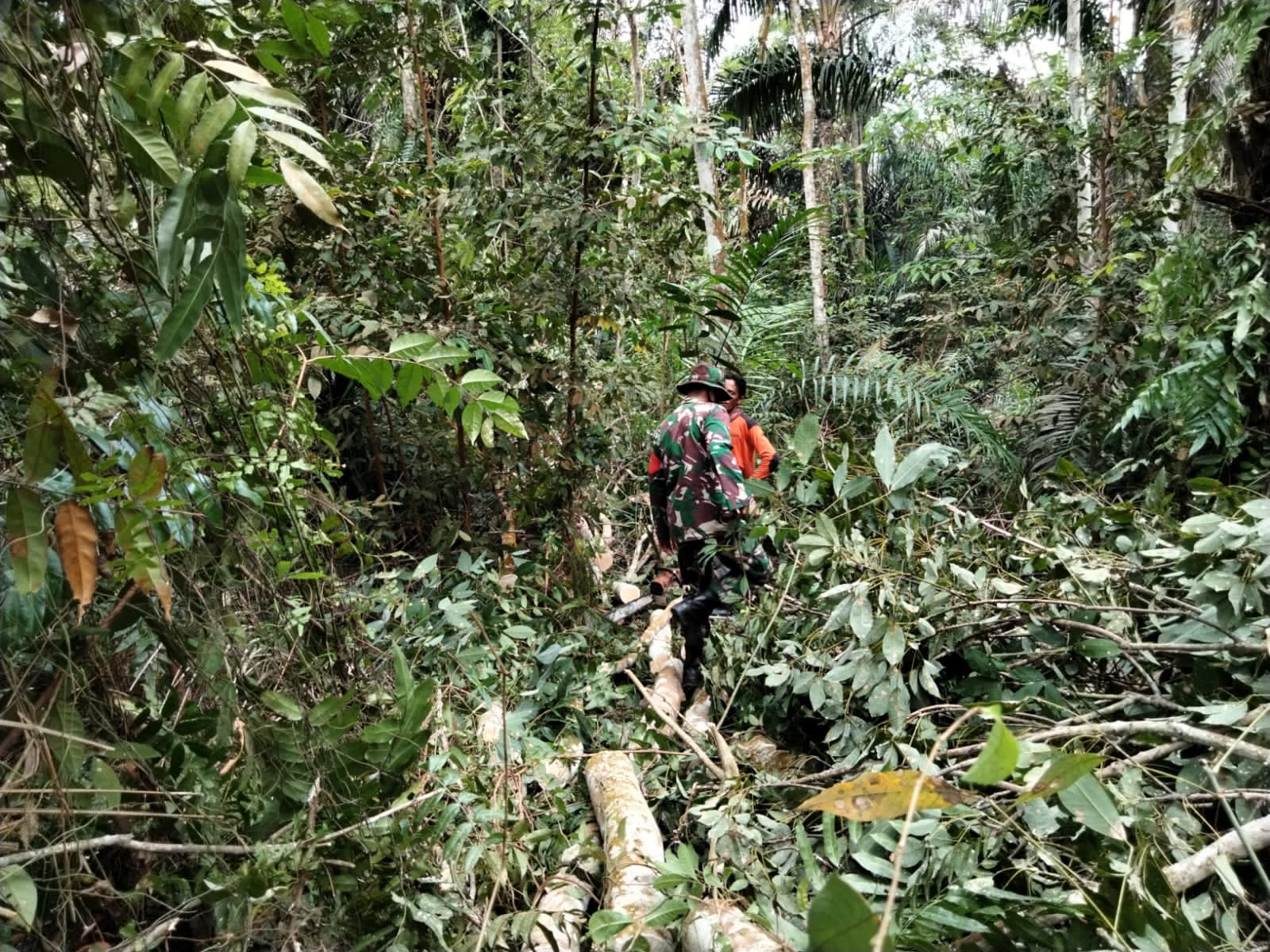 Sertu Sugianto Laksanakan Giat Cegah Karhutla