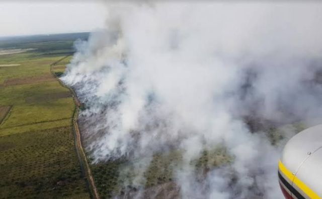 Sebanyak Tiga Hotspot Kembali Terdeteksi di Riau