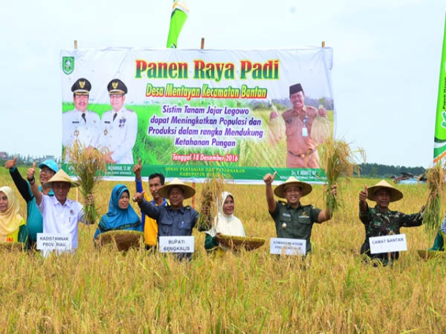 Panen Padi di Desa Mentayan, Bupati Sebut Petani Layak Dijuluki Pahlawan Pangan Sejati