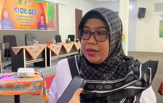Inhil Marak Kasus Malaria, Dinkes Inhil Minta Masyarakat tetap Waspada