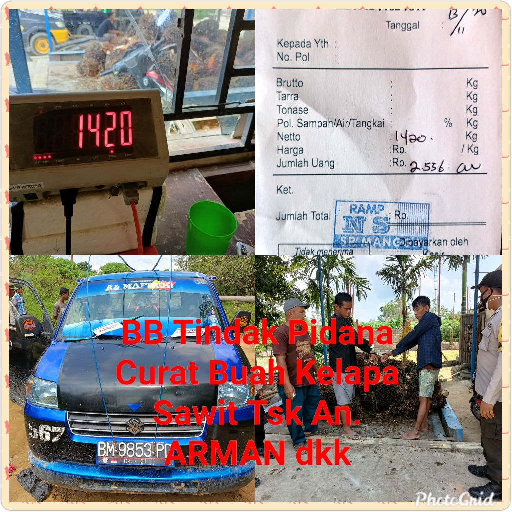 Polsek Tanah Putih Tangkap 2 Pelaku Curat Buah Sawit