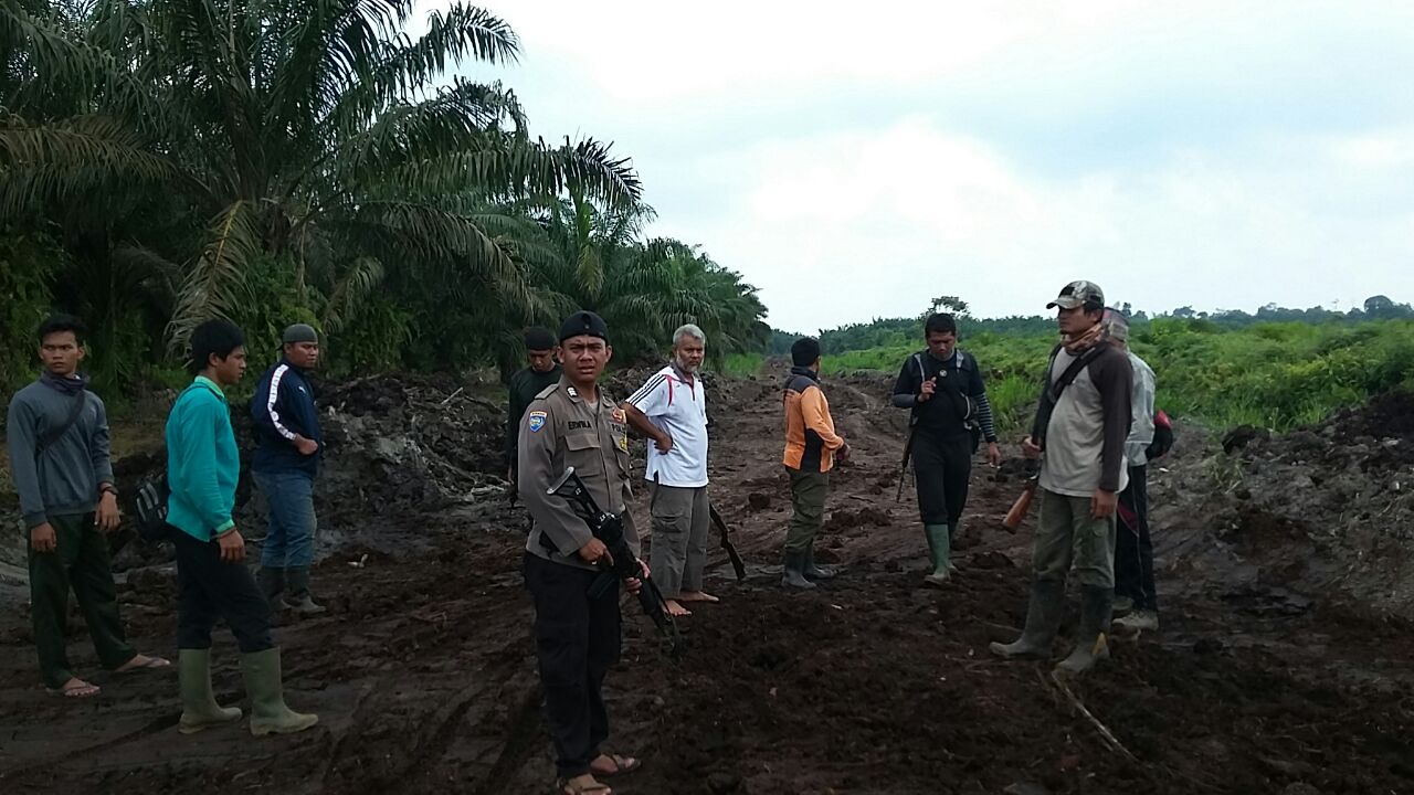 Pasca Tembak Bius, Tim Masih Melakukan Penyisiran Keberadaan Bonita