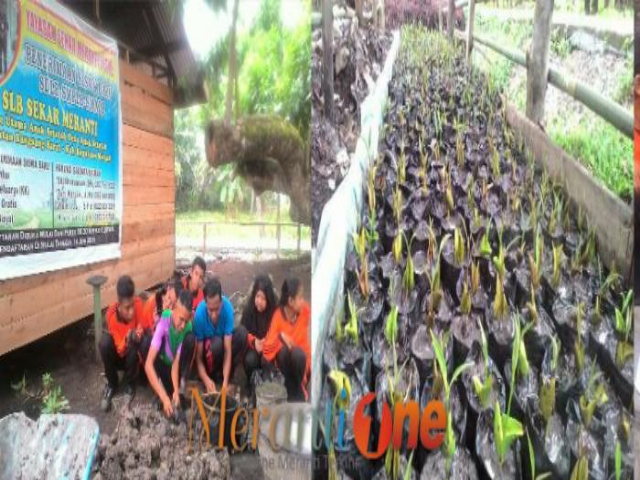 Peduli Abrasi, Siswa SLB Sekar Meranti Semai Bibit Api-Api