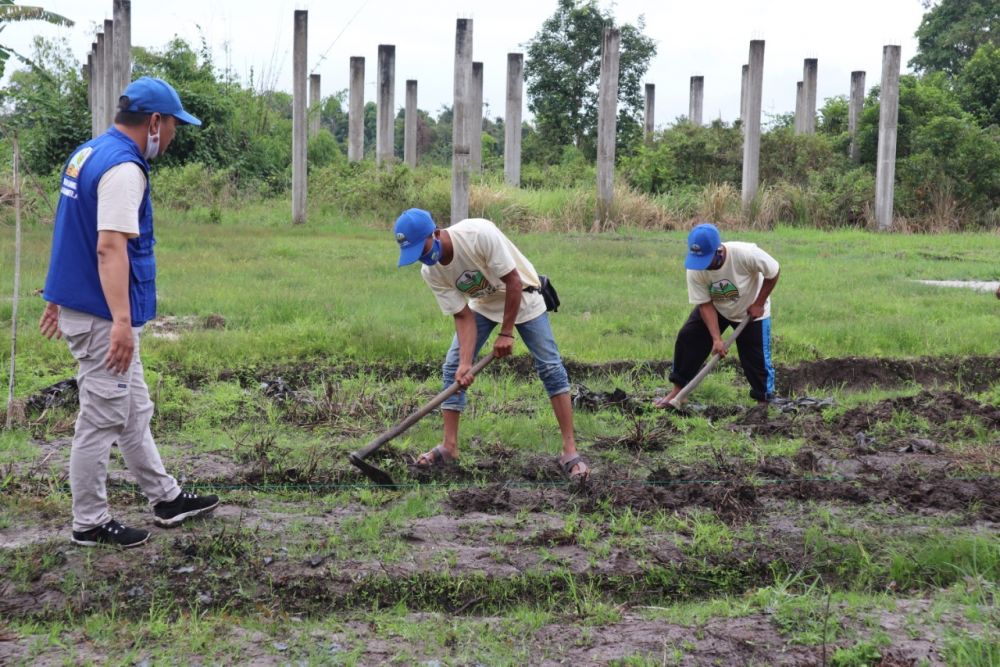 Cegah Karhutla, BNPB Ajak Warga Olah Lahan Gambut
