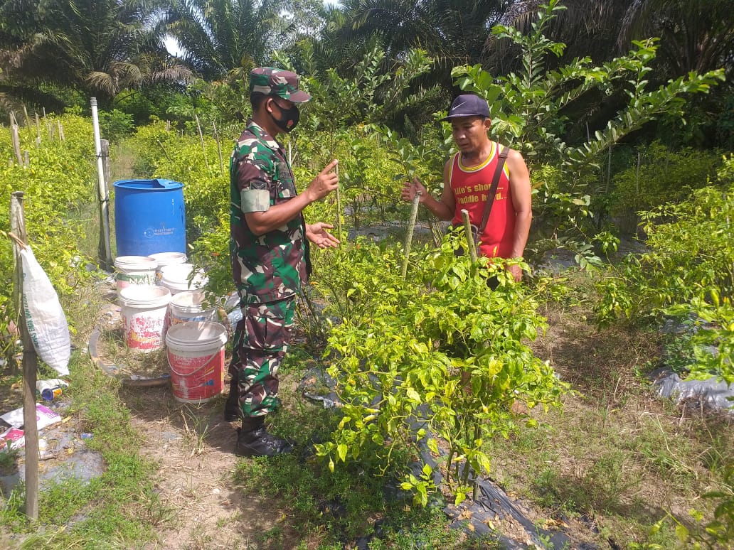 Sertu Sugianto Melaksanakan Giat Cegah Karhutla dan Lakukan Pendampingan Karya Nyata