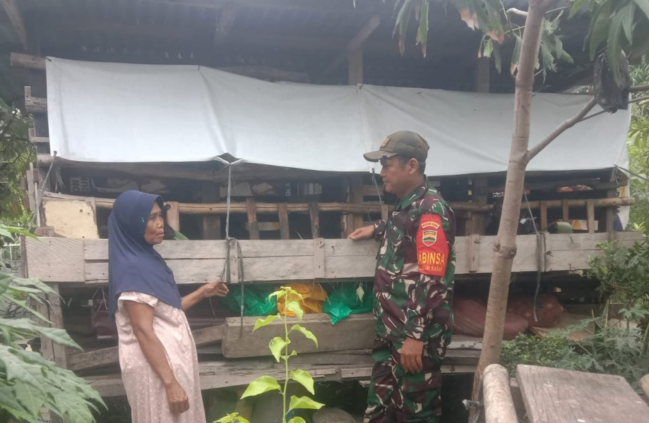 Serda SMP Sinaga Pastikan Hewan Ternak di Kelurahan Buluh Kasap Bebas PMK
