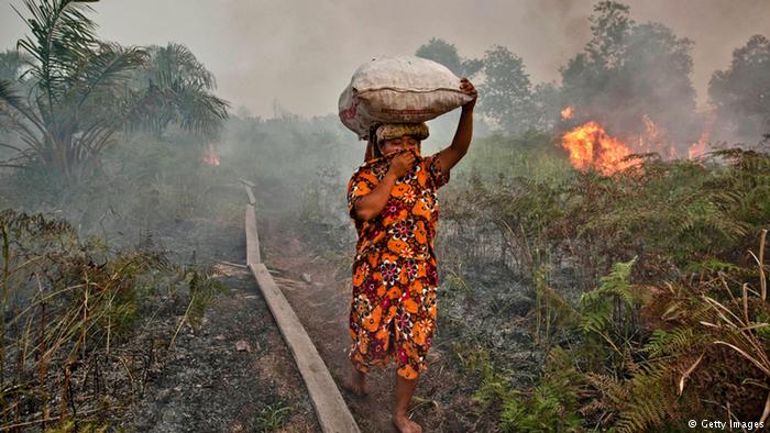 Titik Api di Riau, Terbanyak di Siak dan Inhil