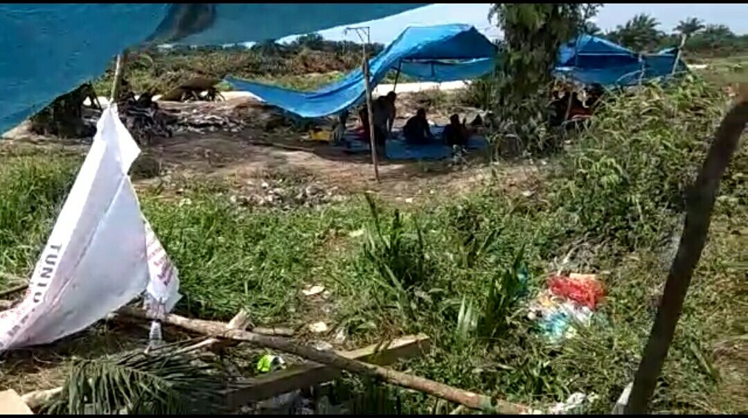 Dua Hari Bentrok Massal Lokasi Lahan Sengketa Masih Mencekam