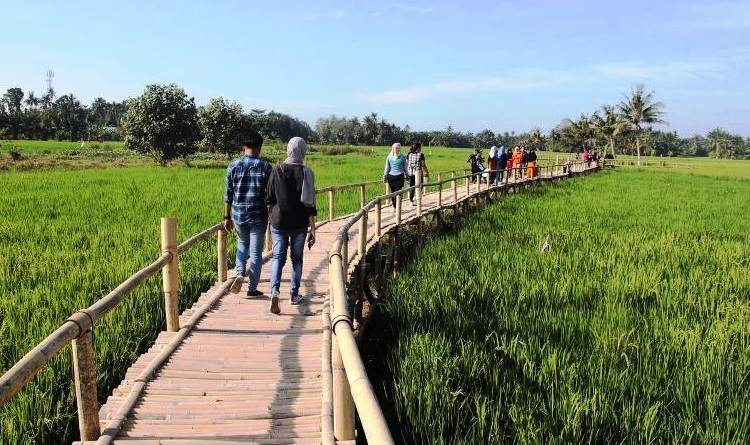 Menyambut Pagi Sembari Cuci Mata di Paloh Naga