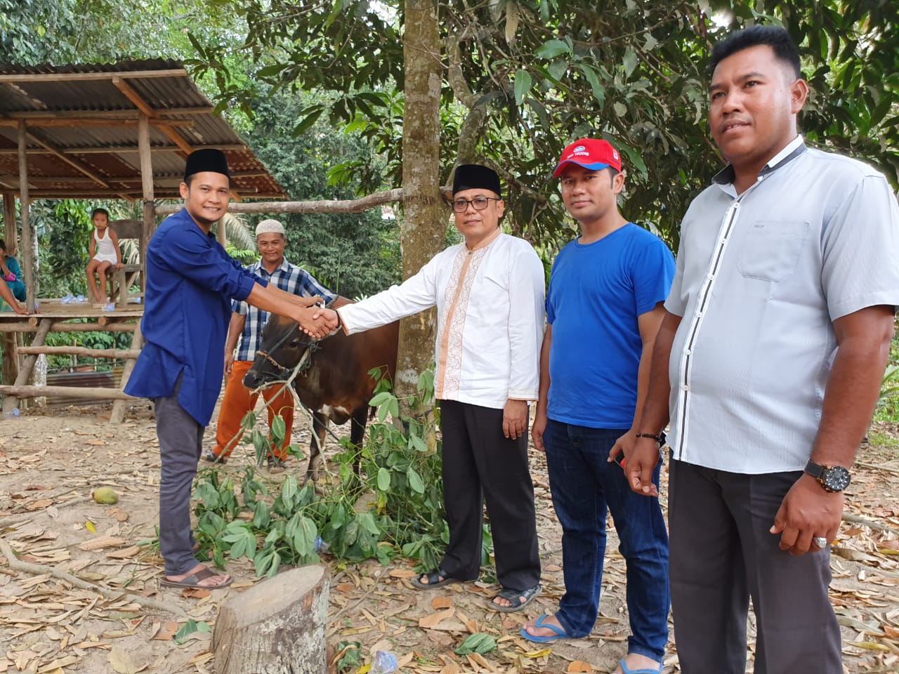 Idul Adha, PT Musim Mas Serahkan 9 Sapi Untuk Desa
