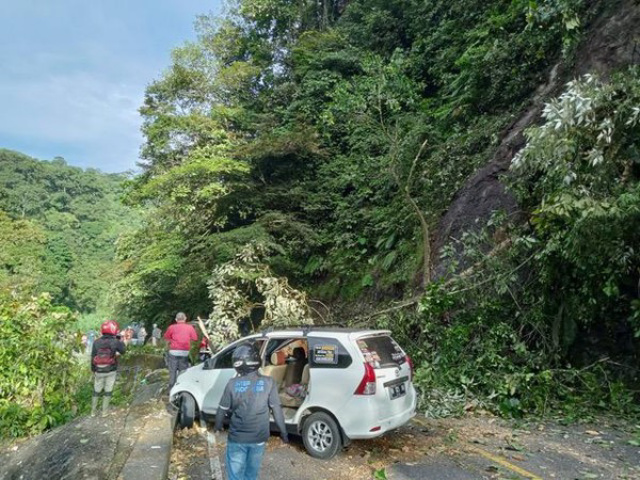 Longsor-Pohon Tumbang di Kawasan Lembah Anai, Lalin Macet