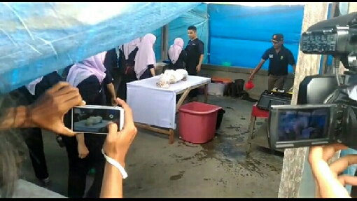 Gelar Autopsi, Polisi Temukan Tanda - tanda Kekerasan di Jasad Balita 18 Bulan