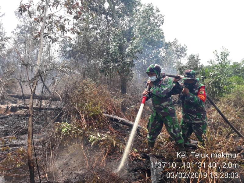 Dandim 0320/Dumai Bersama Tim Gabungan Berjibaku Padamkan Karhutla di Teluk Makmur