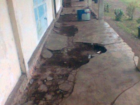Lantai dan Plafon Rusak, SD 038 Sekodi Butuh Perhatian Pemerintah