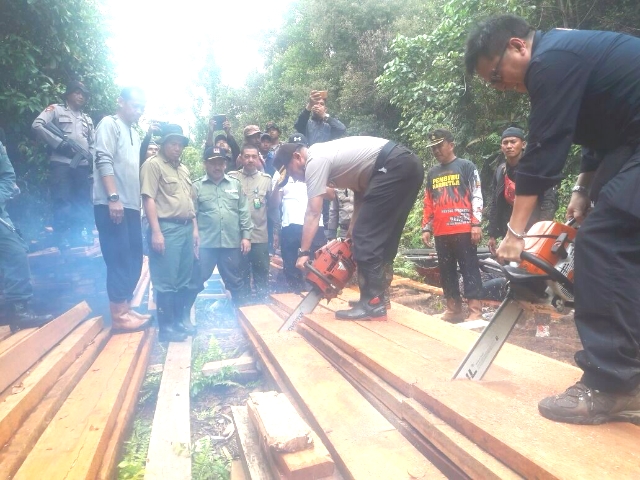 Kapolda Riau: Akan Menindak Tegas Pelaku Pembalakan Liar di Giam Siak Kecil