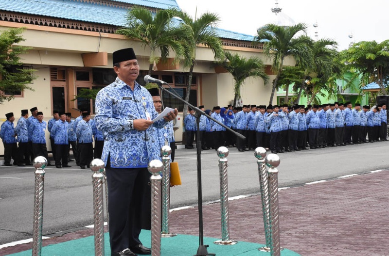 Peringati Hari Otonomi Daerah, Mendagri Sampaikan Lima Arahan Pokok