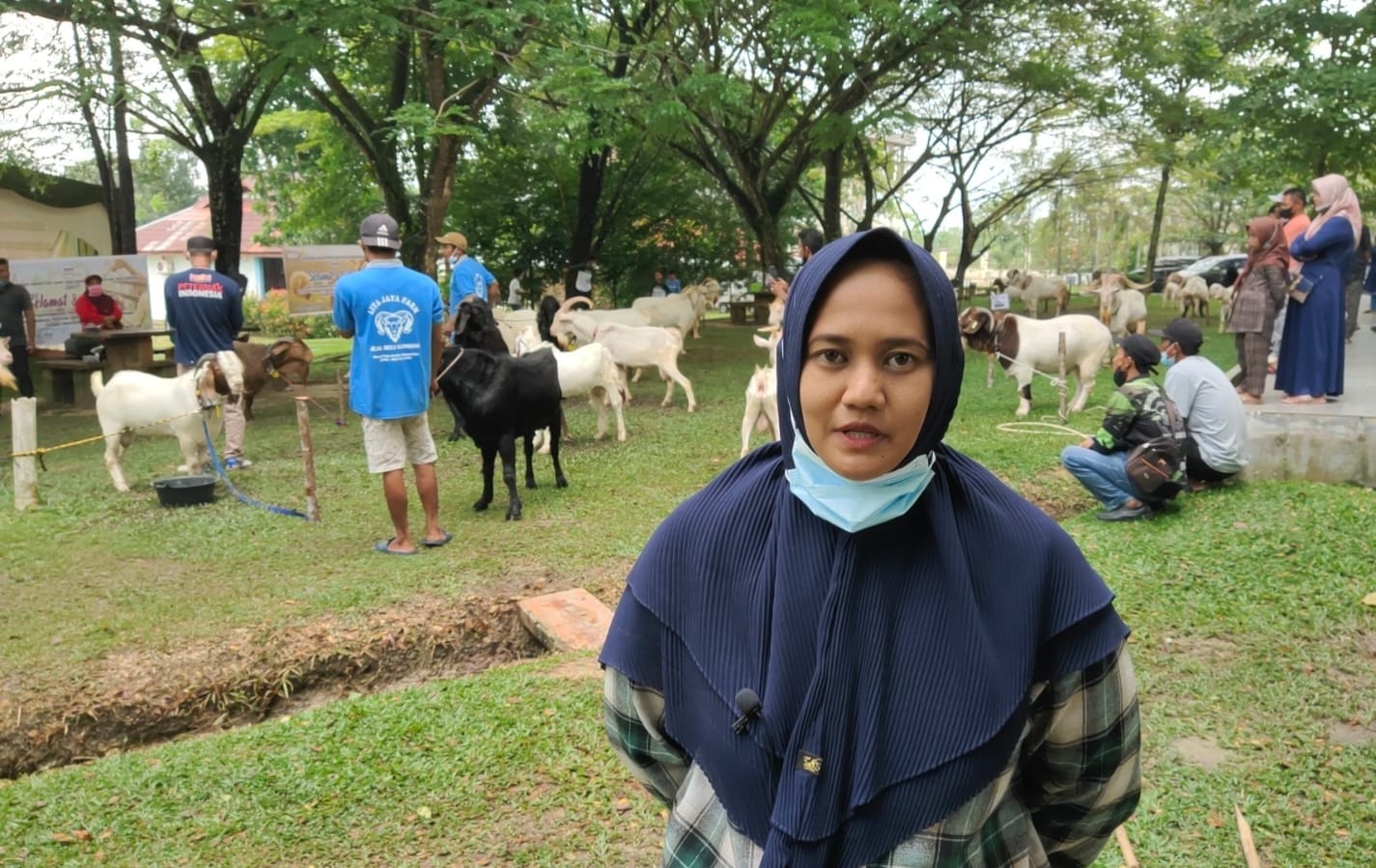 Maya Puspita Menyebut Kampar Salah Satu Tempat Terbaik Untuk Peternakan Kambing Lokal
