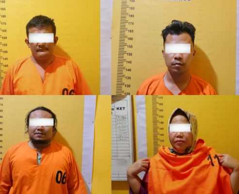 Culik dan Sekap IRT, 4 Pelaku Diringkus Polsek Bagan Sinembah, Ada Oknum PNS Masih DPO