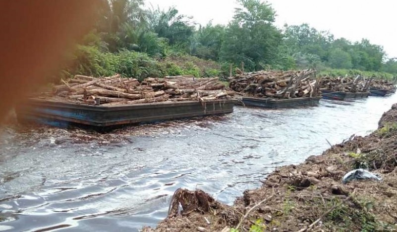 Waduh! Koperasi BUTU Garap Lahan TORA di Siak