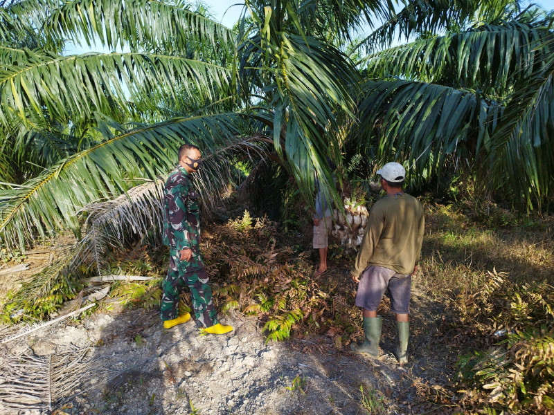 Giat Cegah Karhutla Oleh Serda Miftah