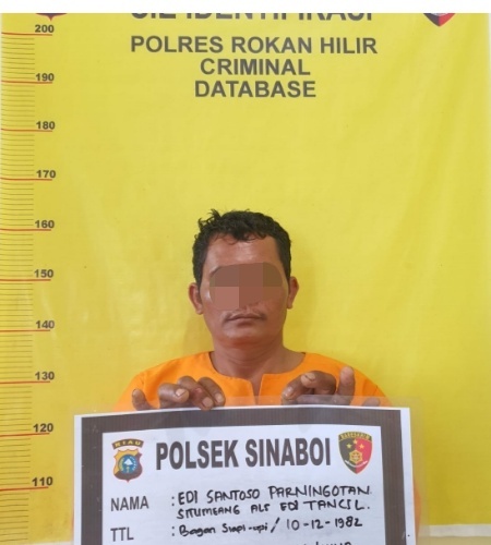 Tim Gabungan Polres Rohil Akhirnya Menangkap Pelaku Pembunuhan Alek Purba