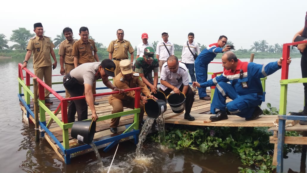 Wabup Rohil dan GM Pertamina RU II Dumai,Tebar 10 Ribu Benih Ikan Patin Di Sungai Rokan