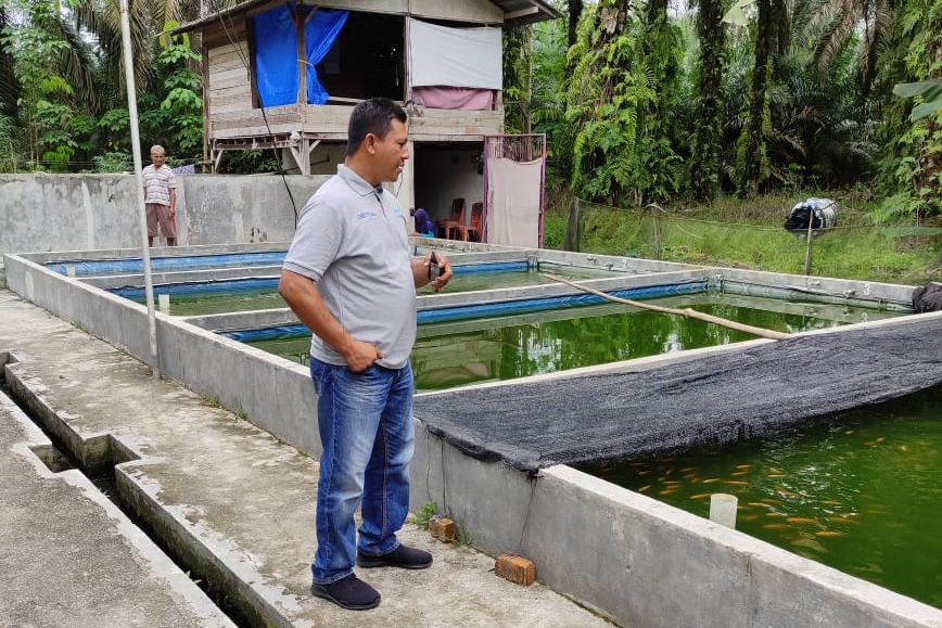Kampung Lele Ini Sukses Meraup Untung 120 Juta Rupiah