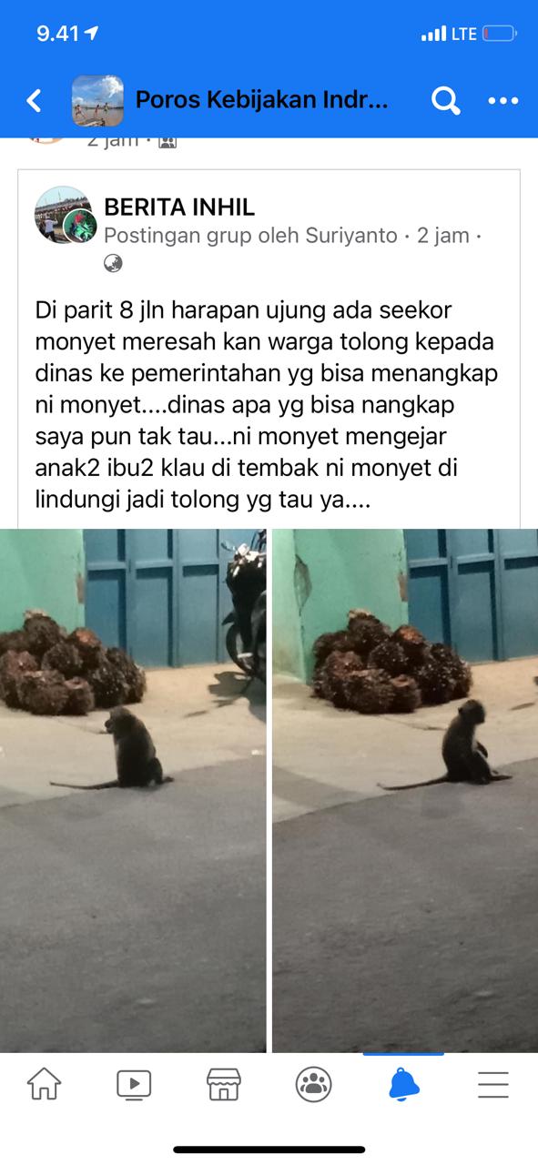 Ada Limbah Berbahaya di Pelalawan