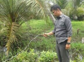 Satu Keluarga di Pulau Kijang Inhil Tewas Tersengat Listrik Jerat Babi