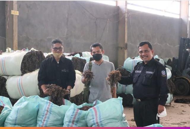 Tingkatkan Pendapatan Masyarakat Pesisir, DKP Kepri Dorong Pengembangan Budi Daya Rumput Laut