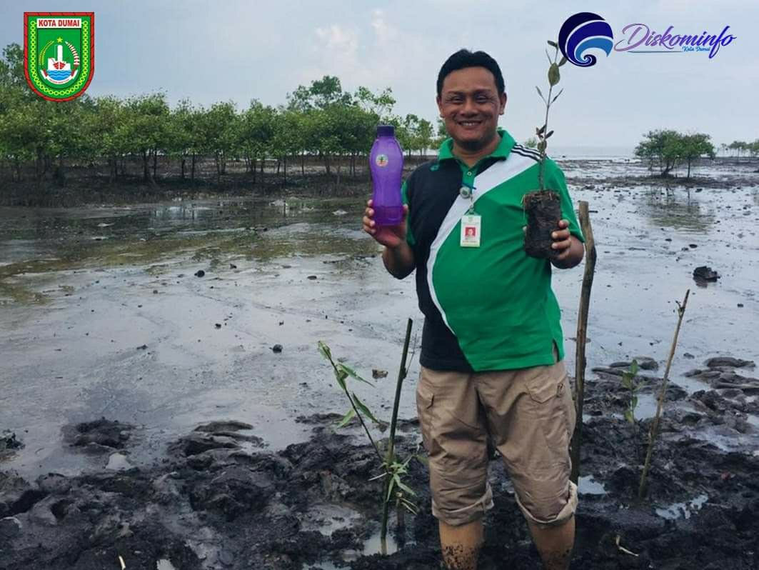 Cegah Abrasi, DLH Dumai Tanam 1.810 Mangrove di Pantai Lestari