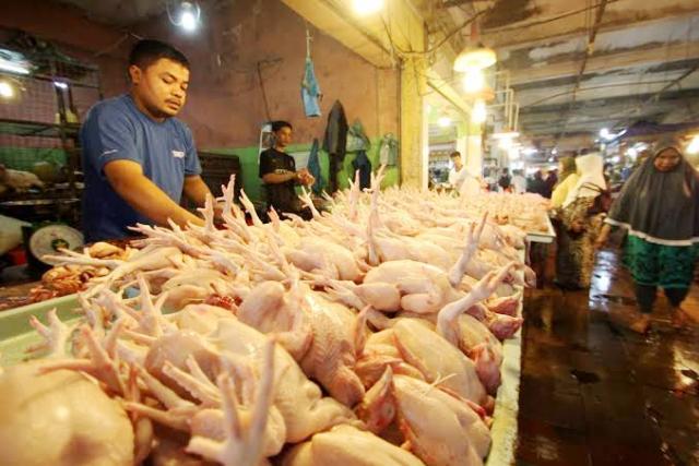 Harga Daging Ayam Naik, Beras Stabil