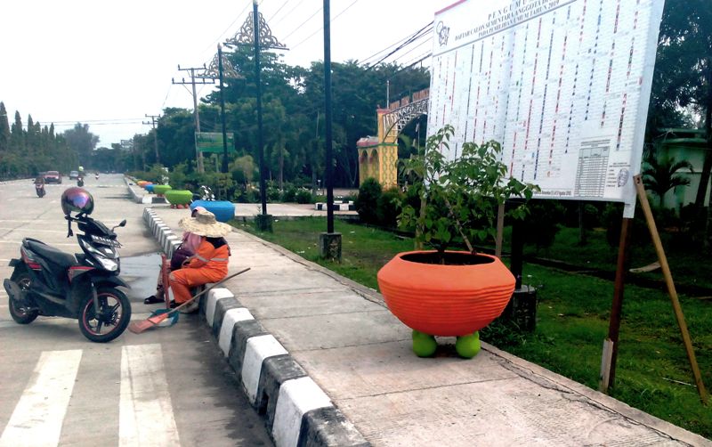 DLH Percantik Jalanan Kota Dumai dengan Pot dan Bunga