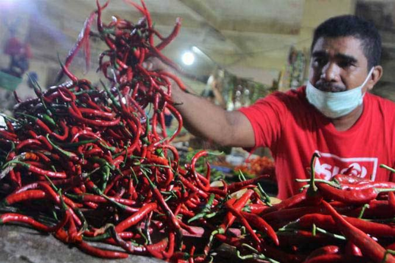 Harga Cabai Merah di Pangkalan Kerinci Rp80.000 per Kilogram