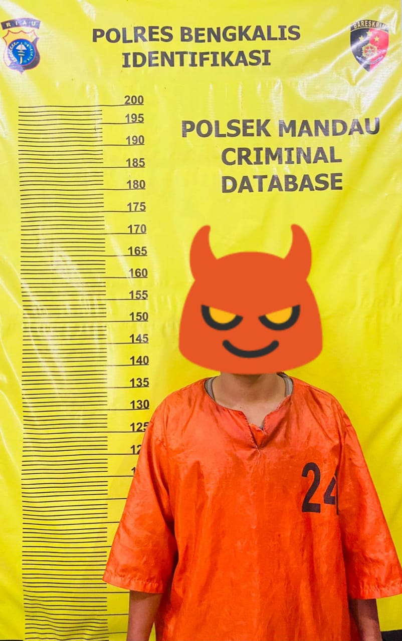 Pukul Korban Dengan Brutal, BE Diseret Team Reskrim Polsek Mandau Kedalam Jeruji Besi