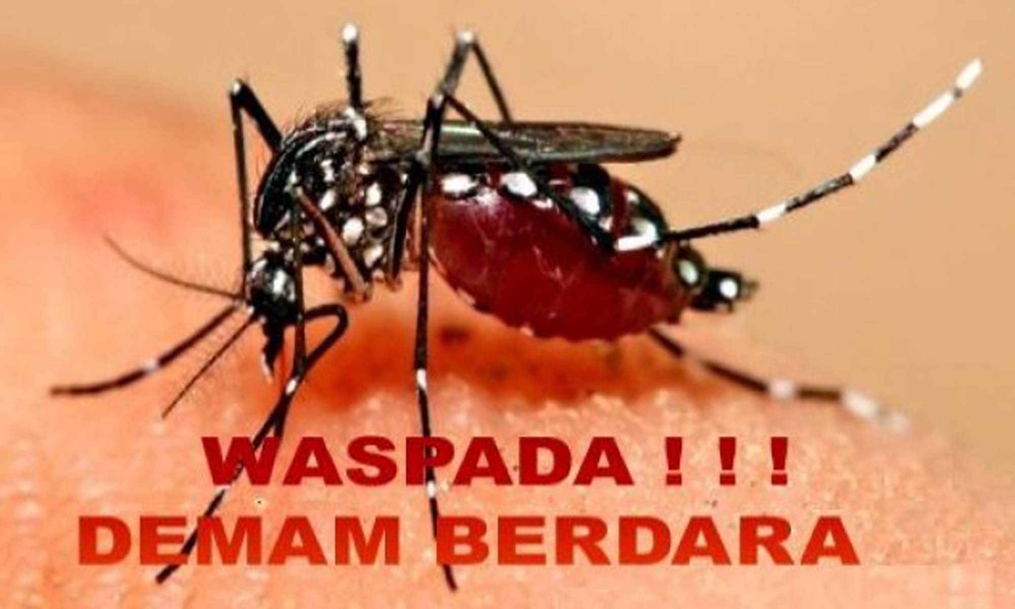 Di Inhil, 38 Kasus DBD Tercatat Sampai Oktober