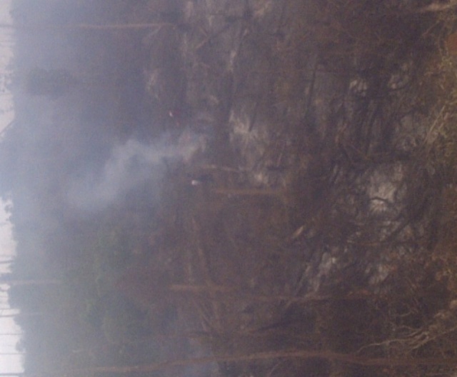 Tim Pemadam Kesulitan Mencapai Medan Kebakaran Hutan Lindung Bukit Betabuh