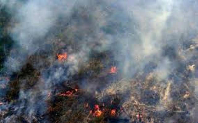 11  Hotspot di Riau Bagian Pesisir