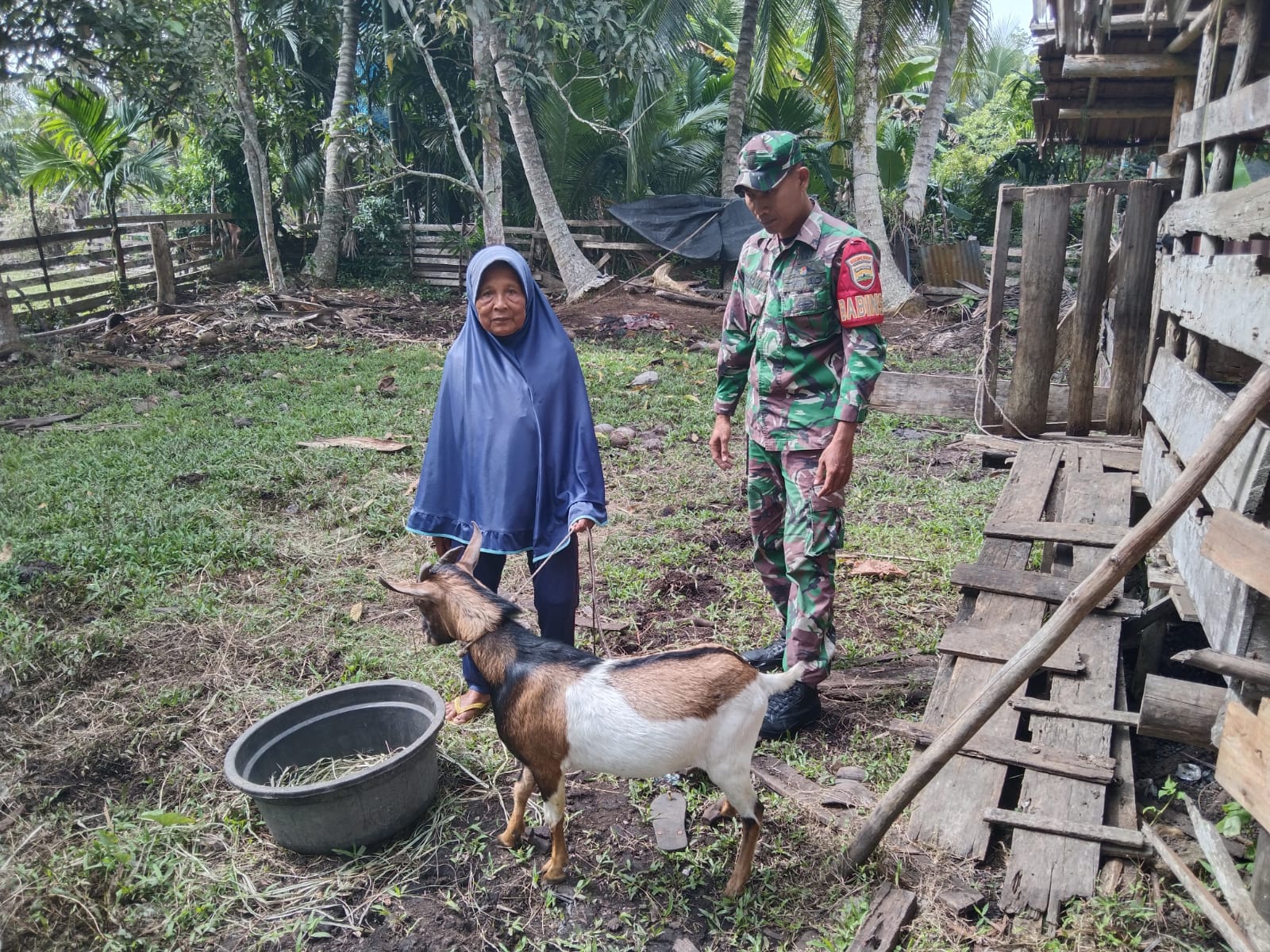 Babinsa Pantau Hewan Ternak di Wilayahnya